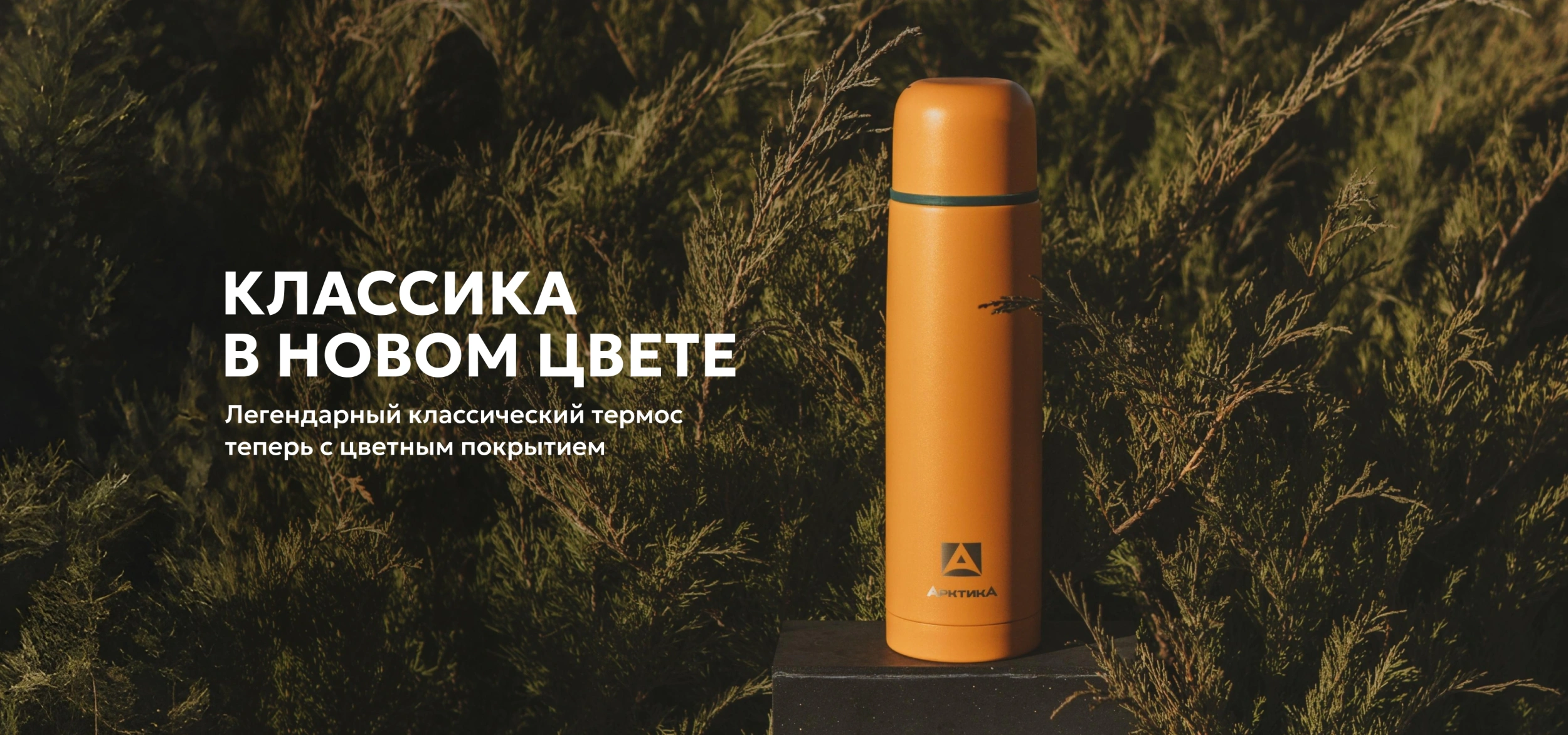 101 цветные